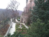 DSC 0919