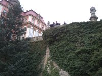 DSC 0922