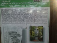 DSC 0658